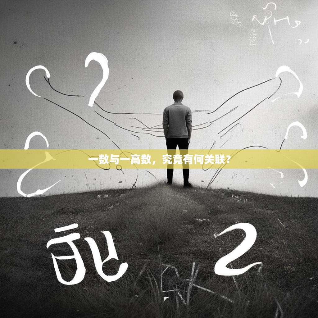 一数与一高数,究竟有何关联?