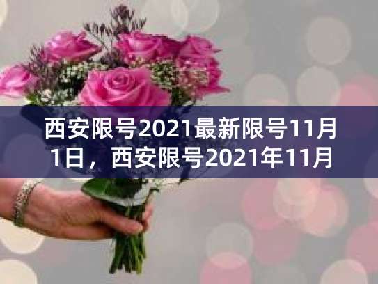 西安限号查询:16号限号情况及限行时间、规则全知道