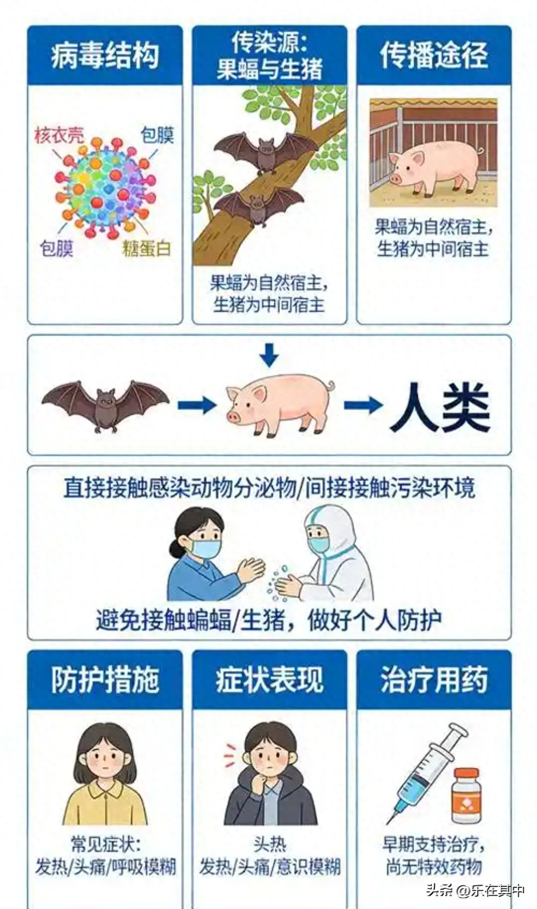 印度尼帕病毒暴发，致死率高，养宠及防疫人群需警惕