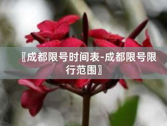 成都汽车限号时间及规则详情,世运会车辆限行规定也有