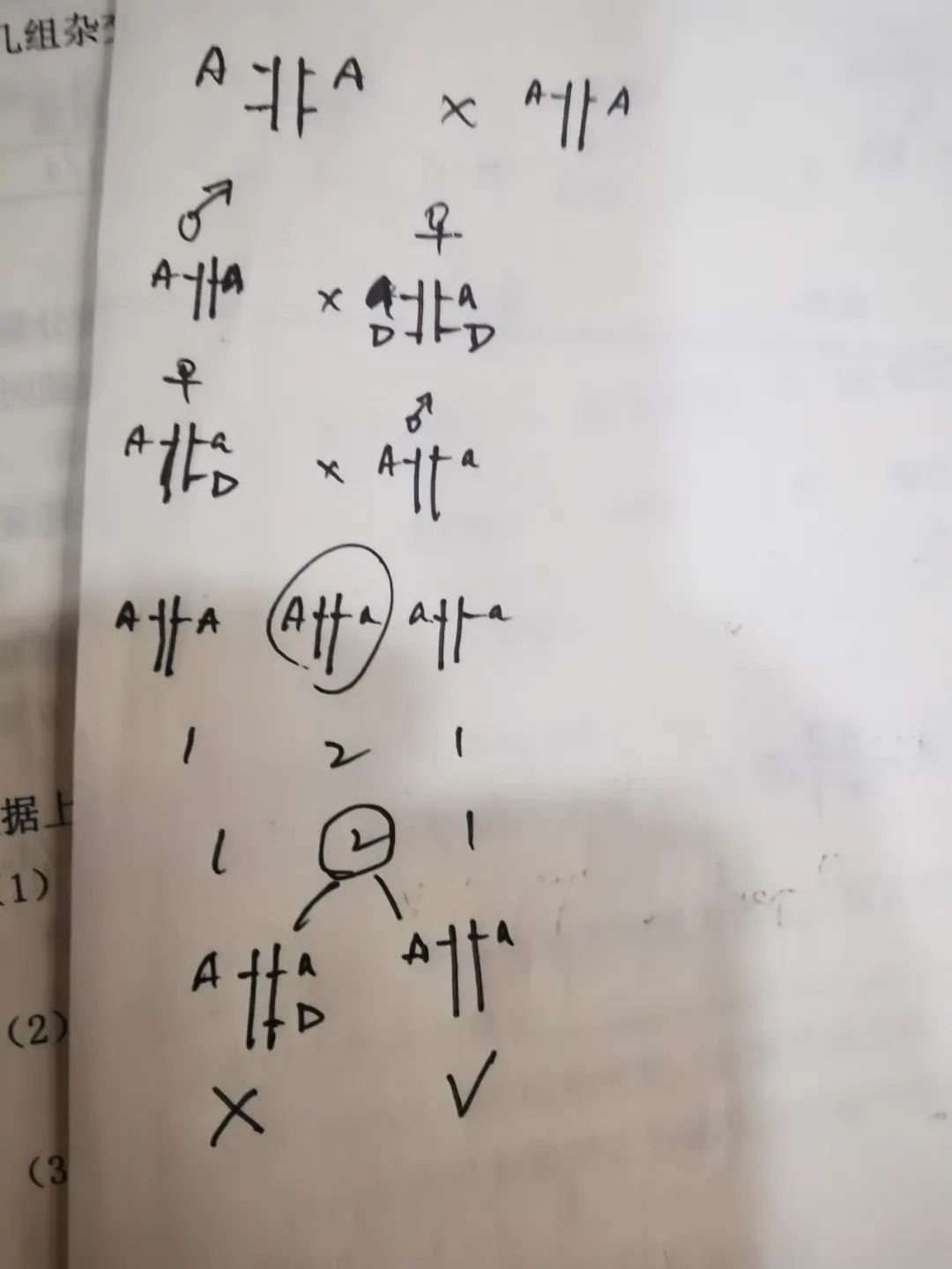 高考生物提分秘籍:站在出题人角度解题,轻松应对各种题型