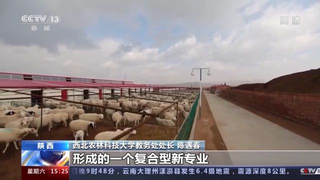 高考招生季:各高校新增专业及人才培养亮点大揭秘