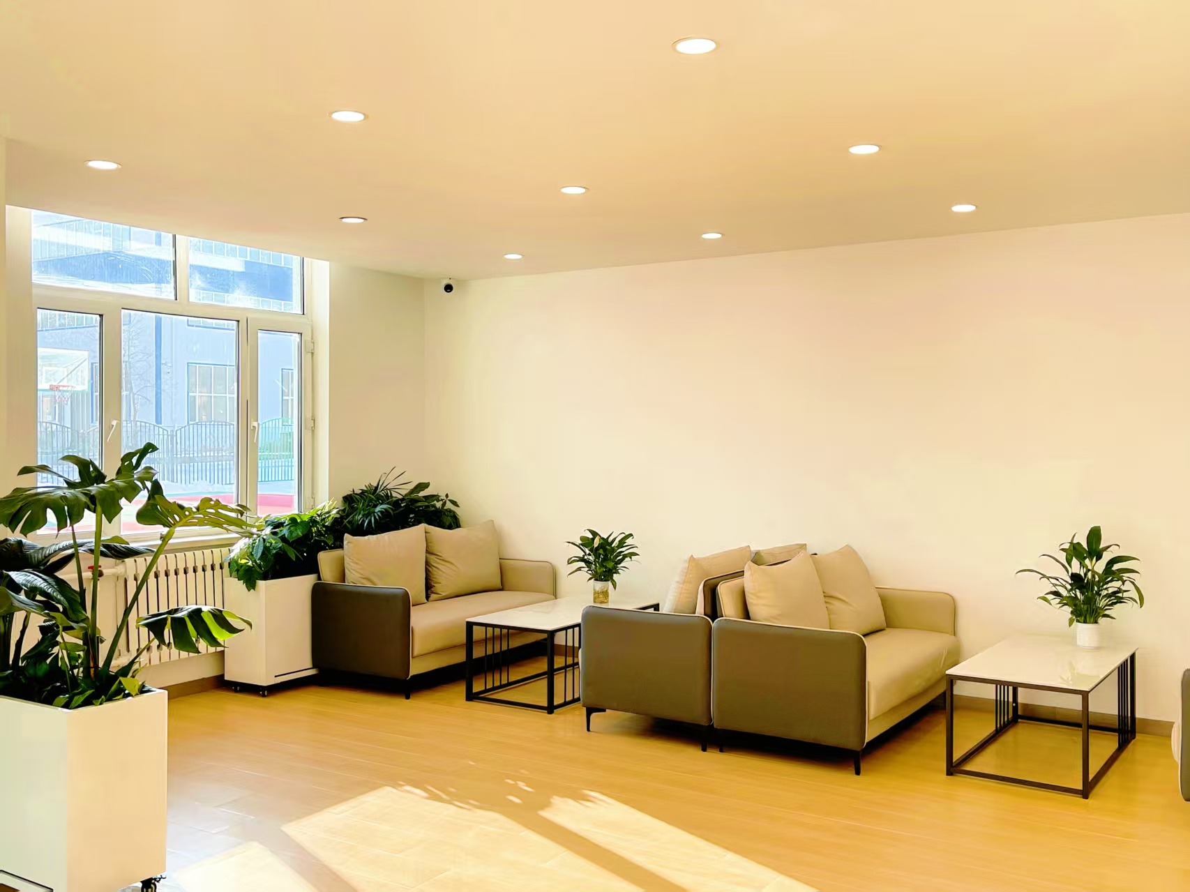 高考艺术生选集训机构难题多?一文带你深扒理优清北教育